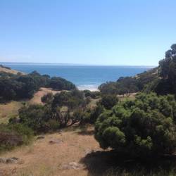 The view from the cabin