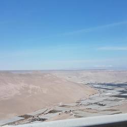 Azapa valley