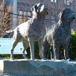 Newfoundland and Labrador, of course.