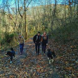 Friday morning hike to walk off Thursday's feast: Caty, John, Nora, Jabba and Boots