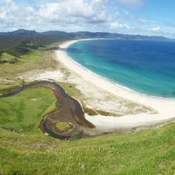 Campen am Spirits Bay ganz im Norden Neuseelands. Wer genau schaut, entdeckt unser Auto. ☺
