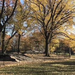Colours of Autumn in the park