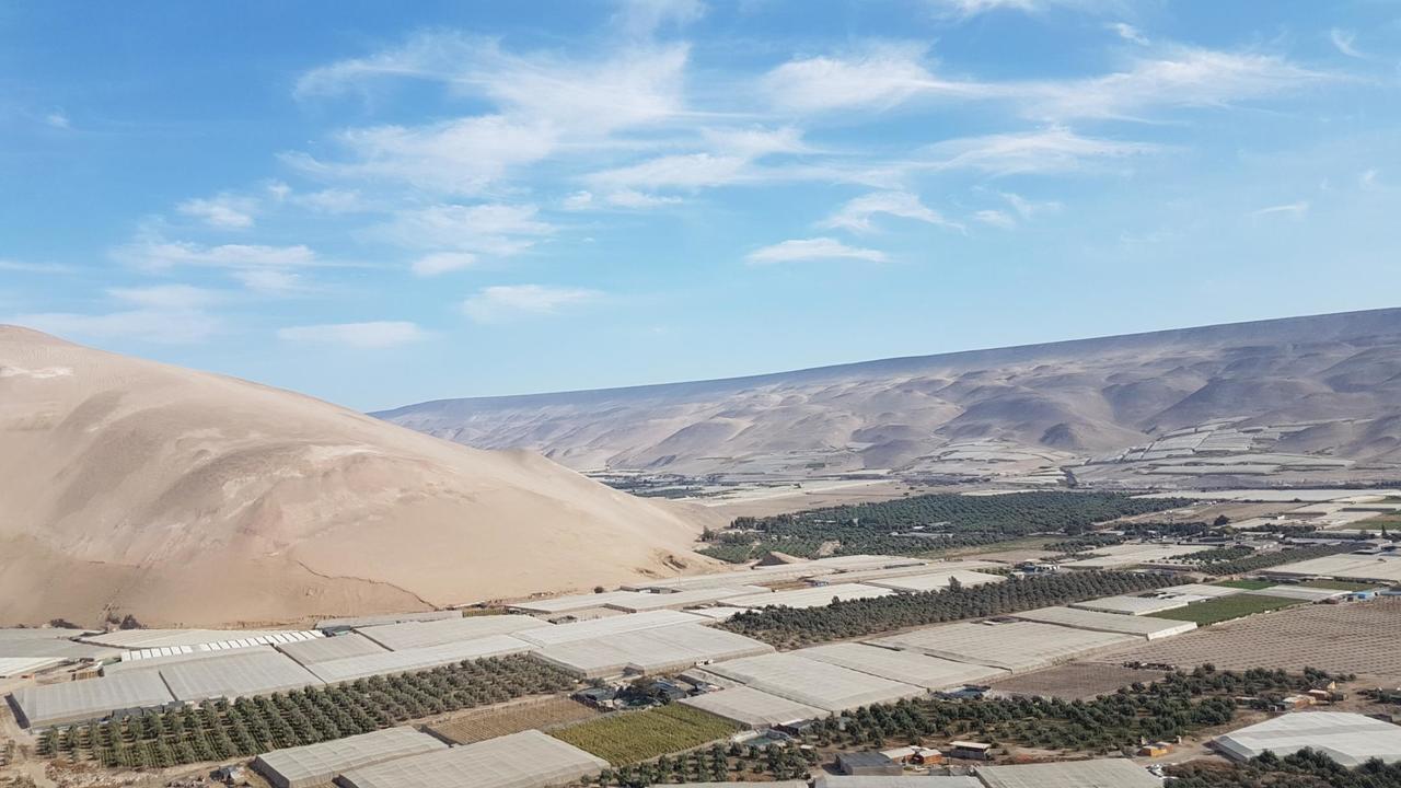 Azapa valley