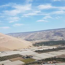 Azapa valley