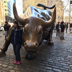 Bull of Wall Street
