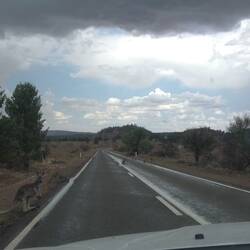 Its drinky time for the locals!