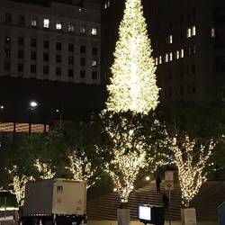 California Street Chrissy Decorations