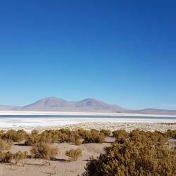 Salar de Huasco