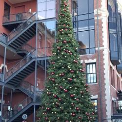 Christmas Tree at Ghirardelli Square