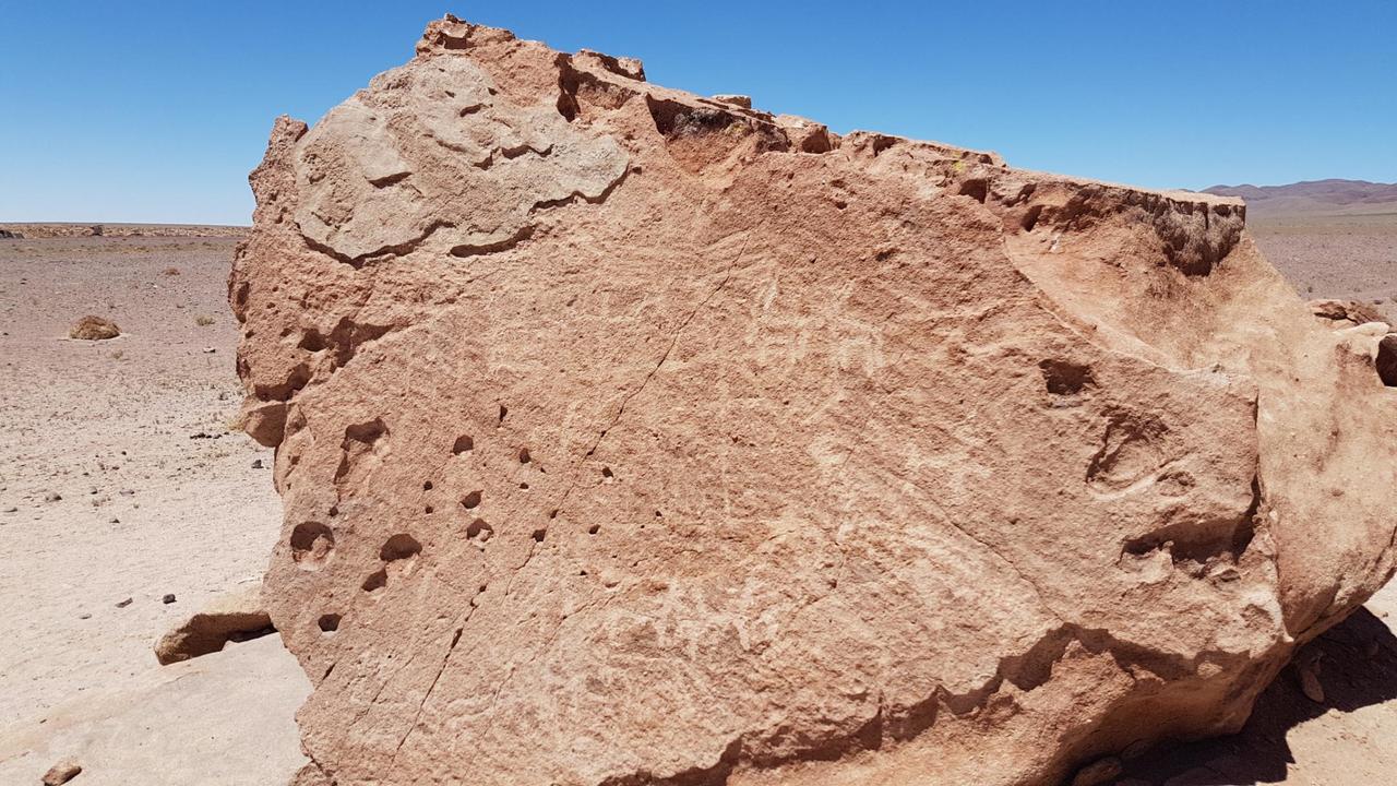 Llama procession indicating the importance of the animal in their life