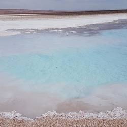 Salt flowers along a crystal clear lake