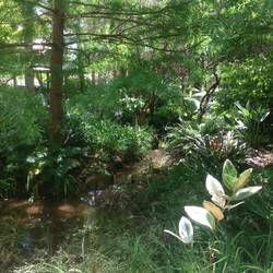 Part of the garden at the Aravina Estate- just beautiful