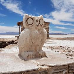 A salt owl