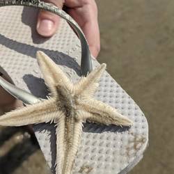 Seastar @ Ko Lanta