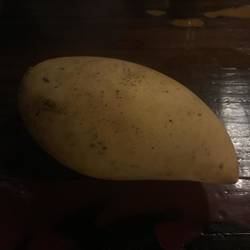 L. Maladee: Mango 😂