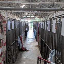 Dog Area @ Lanta Animal Welfare