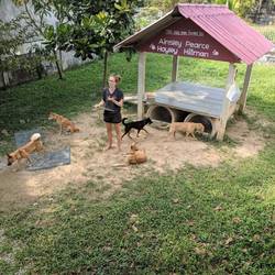 Dog Area @ Lanta Animal Welfare