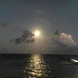 Vollmund und dann...