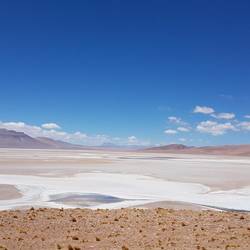 Salar de Tara