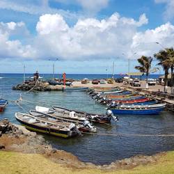 Harbor