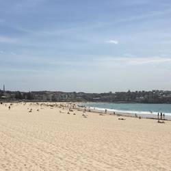 Bondi Beach