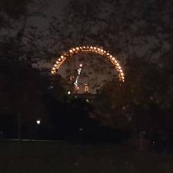 Blick auf das London Eye durch den St. Jamse´s Park