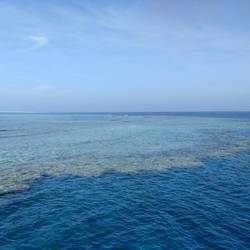 At the Red Sea reefs of Egypt, there are perfect scuba diving and snorkeling conditions!