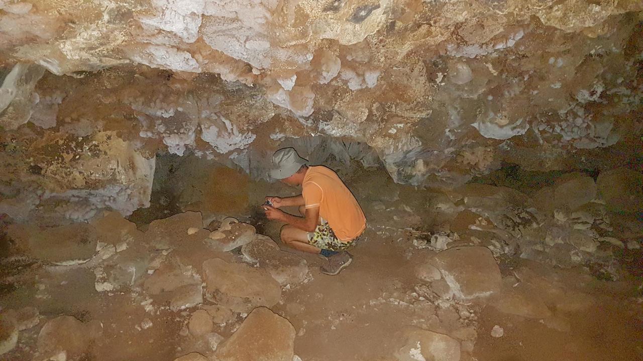 Taking pictures of the bones