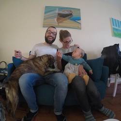 Wo ist das Vögelchen?