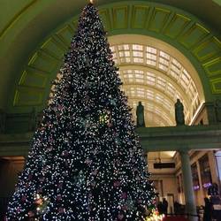 Washington Station