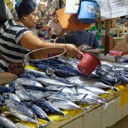 Fischmarkt in Sablayan