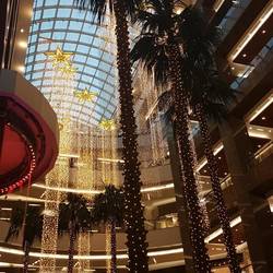 Inside the mall