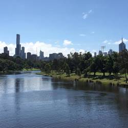 CBD
