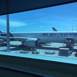 The plane