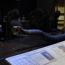 Nagini