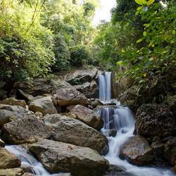 Vorbei an schönen Stromschnellen