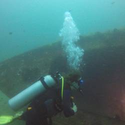 Lisbeth beim Tauchen