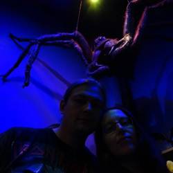 Aragog und wir