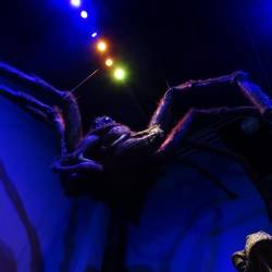 Aragog