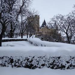 Alcazar