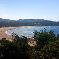 Diggers beach 🏄