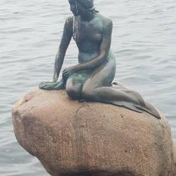 The little mermaid sculpture. As you can see the local sea birds have been visiting her lately.