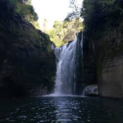 Wasserfall, Regenwald..georgeous