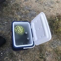 Kühlung mit Flusswasser