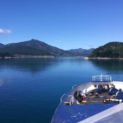 Bluebridge Ferry from Wellington to Picton