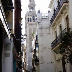 The tower of the cathedral