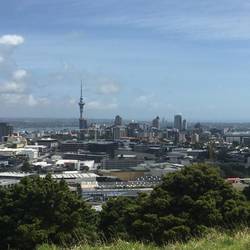 Aussicht auf die City vom Mount Eden