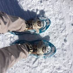 Snowshoes