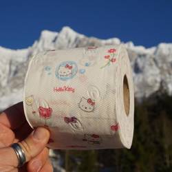 Das einzige was es mit vier Rollen zu kaufen gab