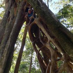 Andreas ist mutig und steigt hoch in den Baum!